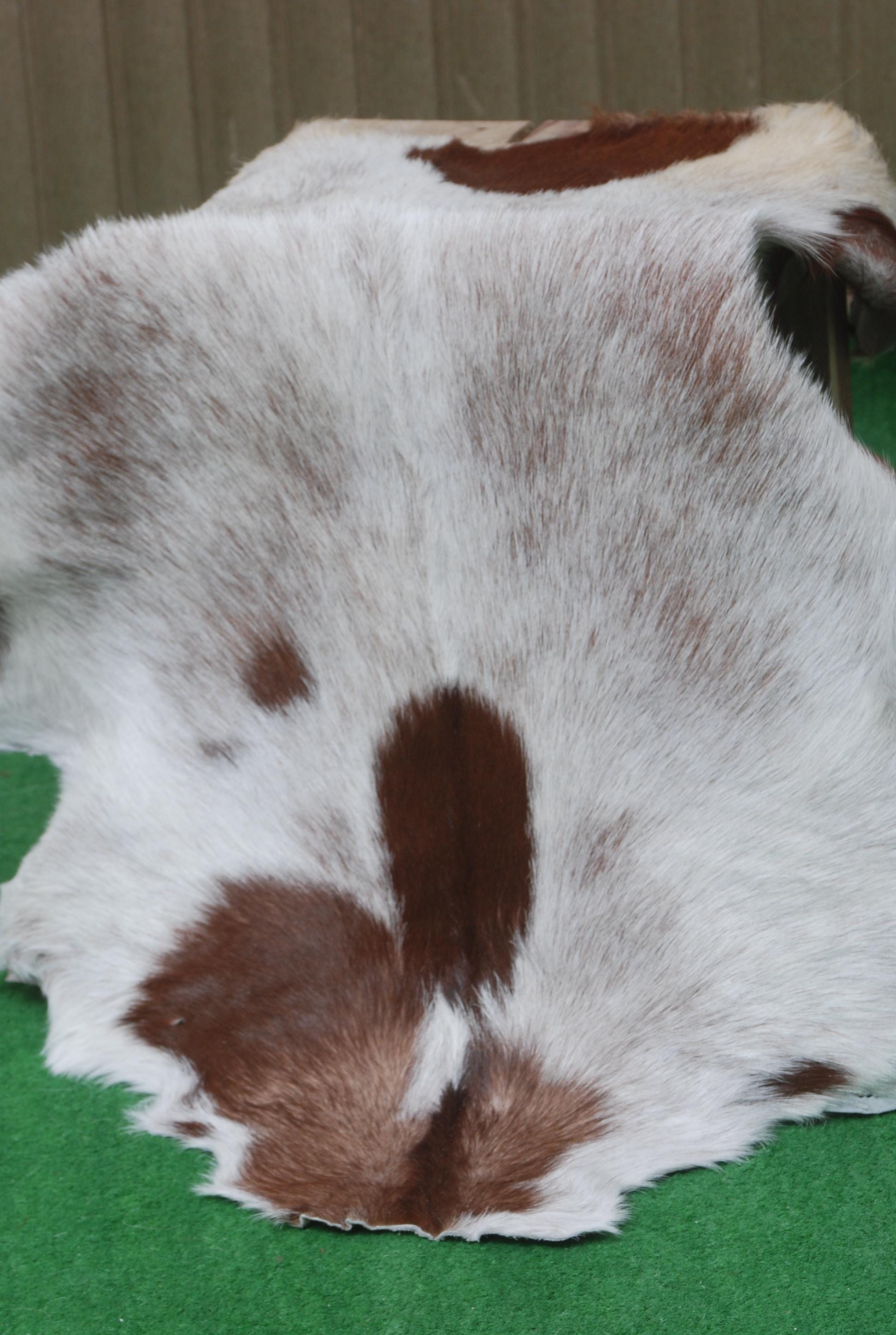 Original Goatskin Hide Brown,  Goat Skin Rug, Goatskin Pelt,  Home Decor Animal Skin Rug,  Bedroom Aesthetic Area Rug,  Brown and White Goat Hide Rug, Goat Skin Rug,  Animal Skin Rug, Real Hair on Hide,  Goal Pelt Rug, Home Decor Rug,  Living Room Area Rug,  Wall Hanging Rug,  Aesthetic Rug,  Leather Rug,  Decorative Rug,  Brown Goatskin Rug,  GoatHide Brown White