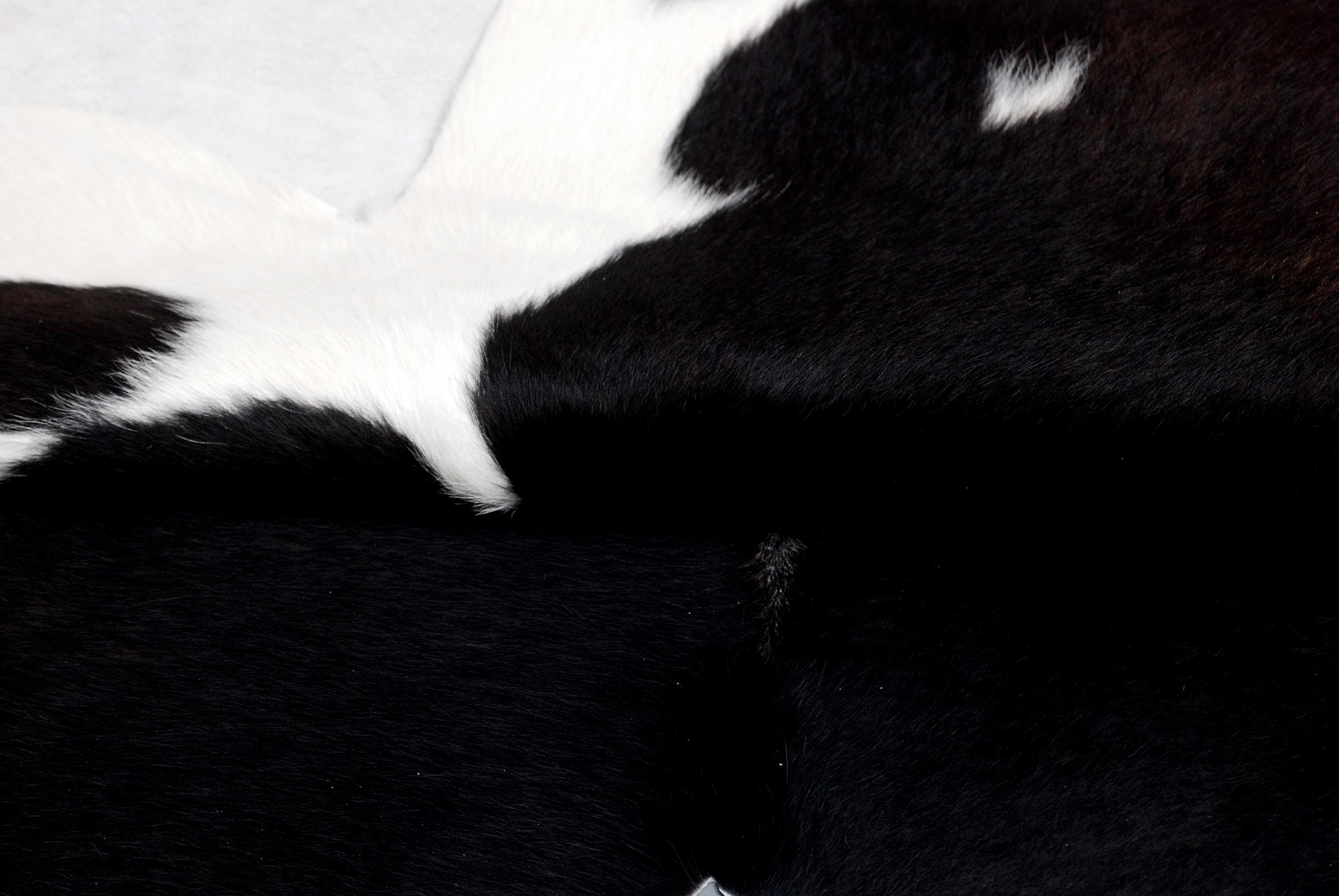 Handcrafted Multicolour Cowhide Rug | Hypoallergenic Small Area Rug with Animal Print | Non-Shedding, Non-Slippery Suede Back | Free - Celestial Leather Limited