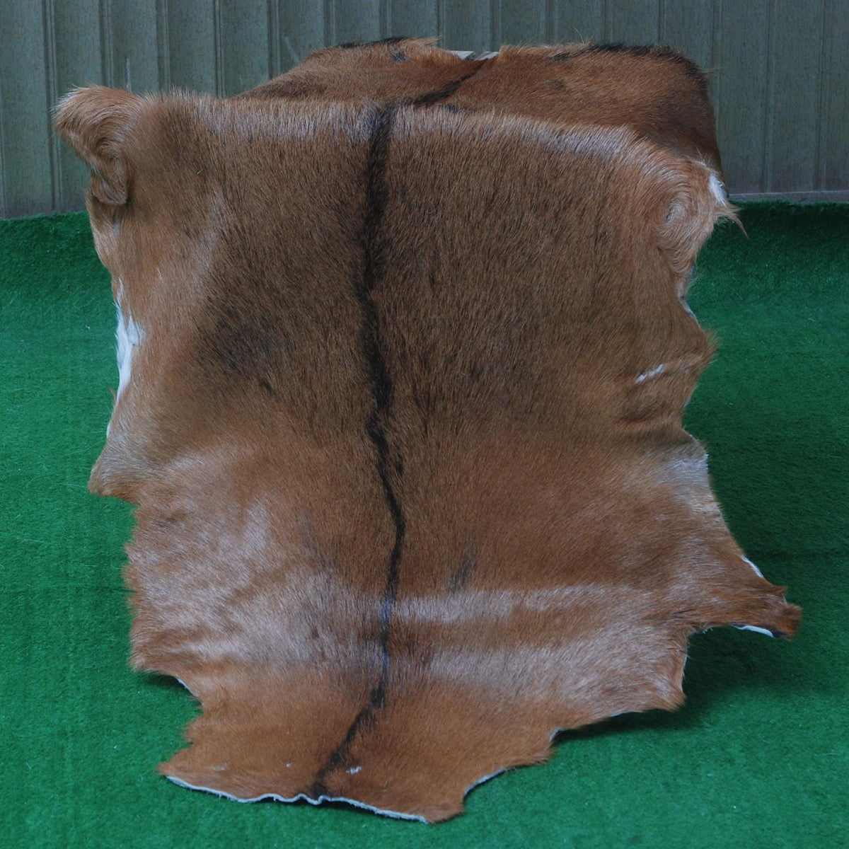 Premium Brown & White Goat Hide Rug - Luxury Hair-on Goatskin Rug, Sustainable - Eco-Friendly, Unique Patterns, Non-Slip Suede Back - Celestial Leather Limited