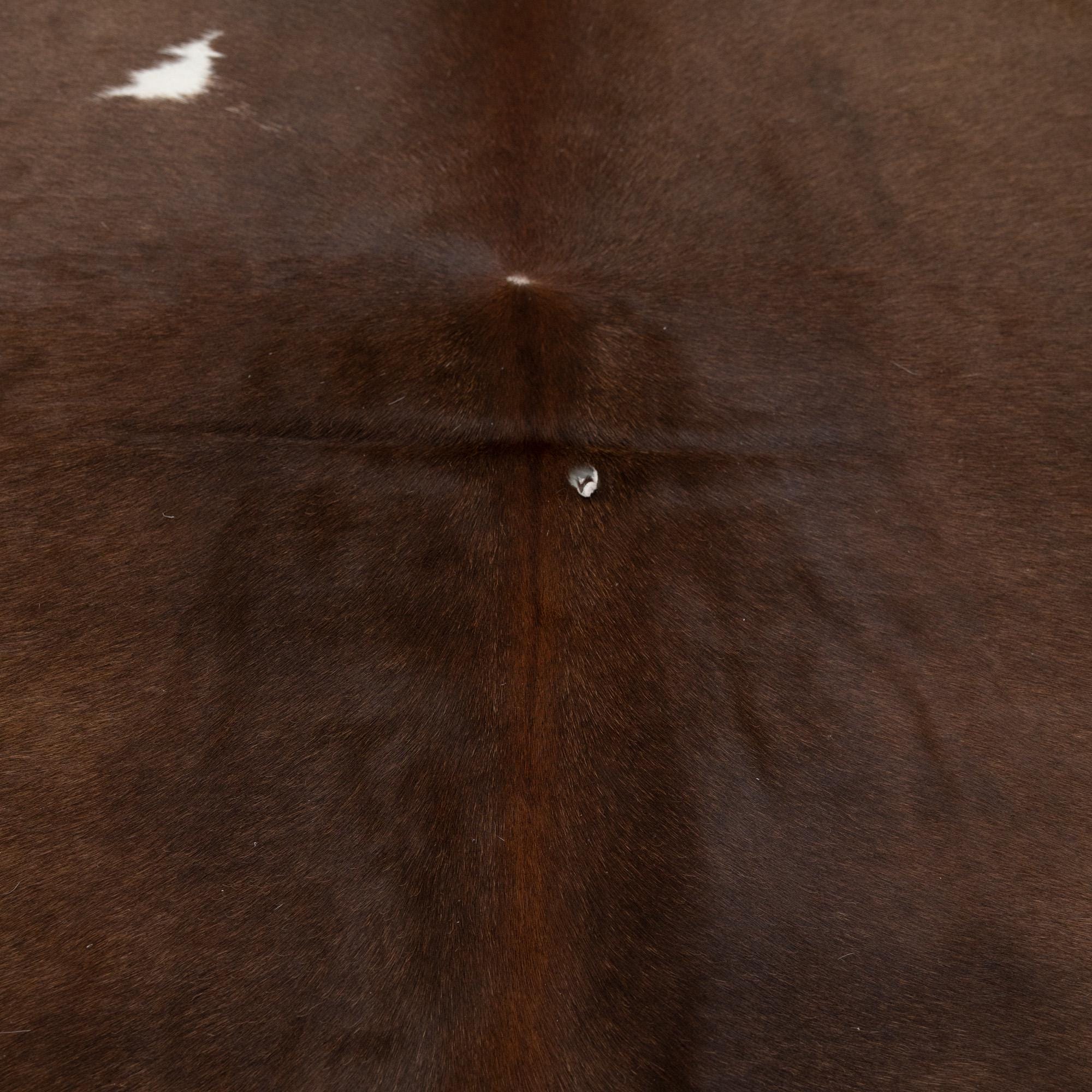Luxurious Brown & White Cowhide Rug | Hypoallergenic - Non-Slip | Top Quality Natural Cow Skin for Home Decor - Upholstery - Free Shipping - Celestial Leather Limited