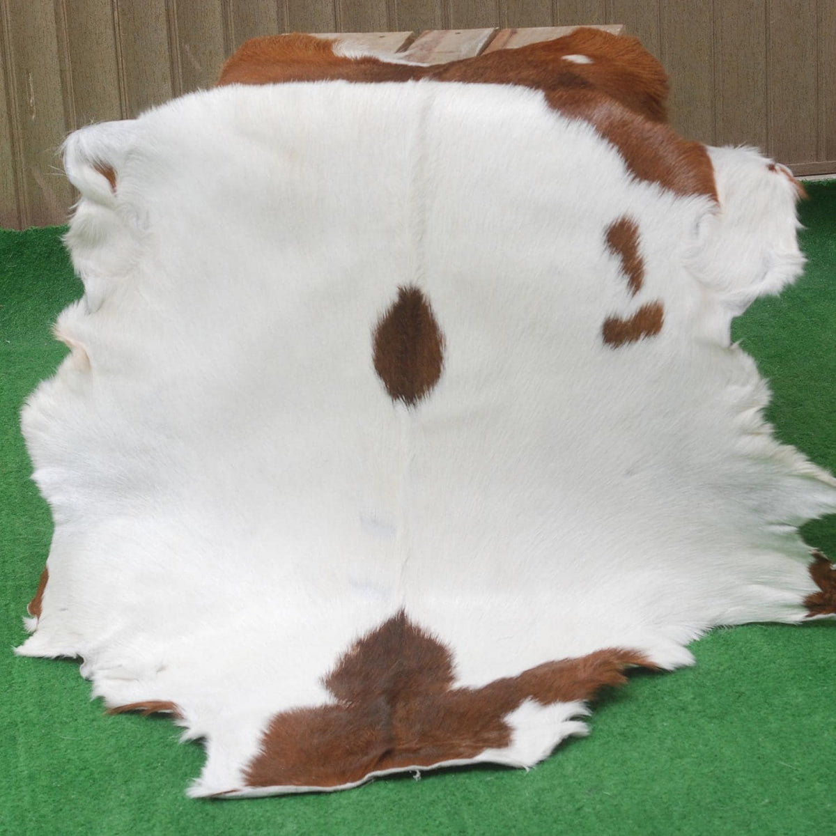 Luxurious Brown and White Goatskin Rug for Modern Home Décor - Hypoallergenic, Non-Shedding, Sustainable, Unique Hair-on Leather Rug - Celestial Leather Limited